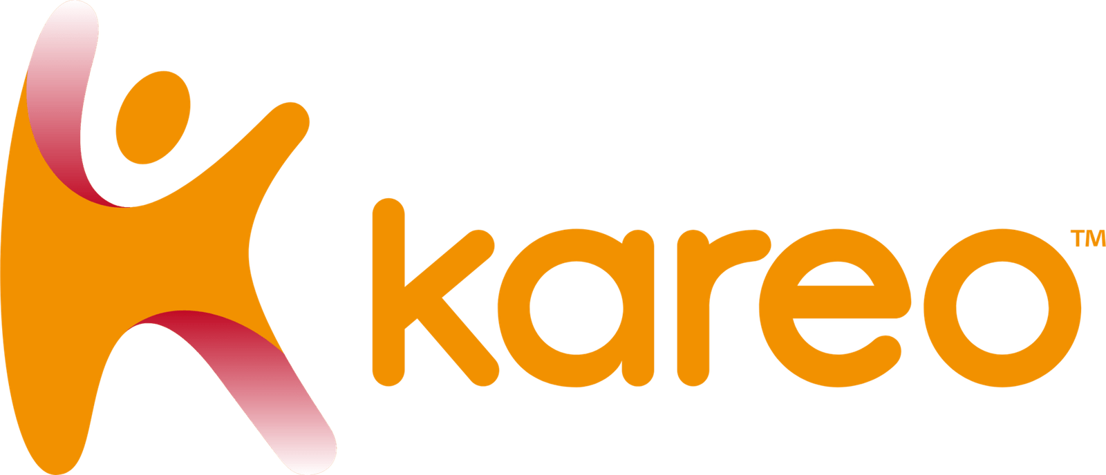 kareo-seeklogo